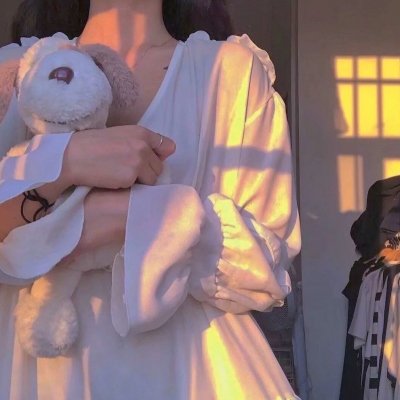 肥瑞的疯狂日记第二季